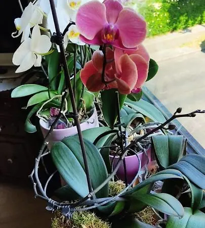 Weltoffenes Privates Gaestezimmer Bei Lgbtq Freundlichen Gastgeber Der Mit In Der Lebt בית אירוח