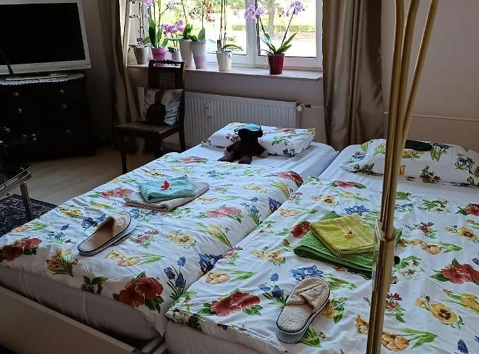 Weltoffenes Privates Gaestezimmer Bei Lgbtq Freundlichen Gastgeber Der Mit In Der Lebt منزل للإقامة