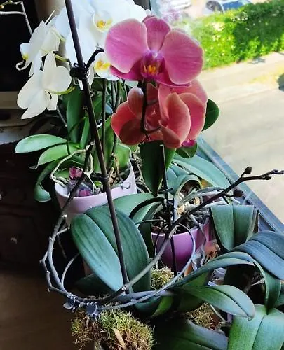 Weltoffenes Privates Gaestezimmer Bei Lgbtq Freundlichen Gastgeber Der Mit In Der Lebt Ubytování v soukromí