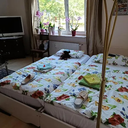 Weltoffenes Privates Gaestezimmer Bei Lgbtq Freundlichen Gastgeber Der Mit In Der Lebt Homestay